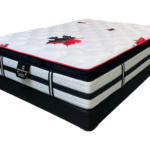 Esha Esha Foam Encased Euro Top Style Mattress