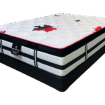 Esha Foam Encased Euro Top Style Mattress